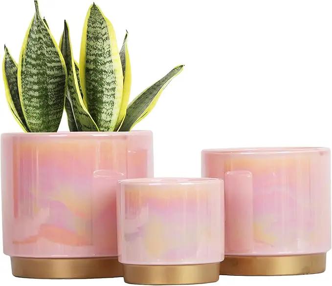 Gepege Indoor Pots for Plants, Ceramic Planter with Drainage Hole, 9.6inch+7.6Inch+6Inch. Succulent Orchid Flower Pot - Rainbow Pearl Glaze by GreenHaven Gardens