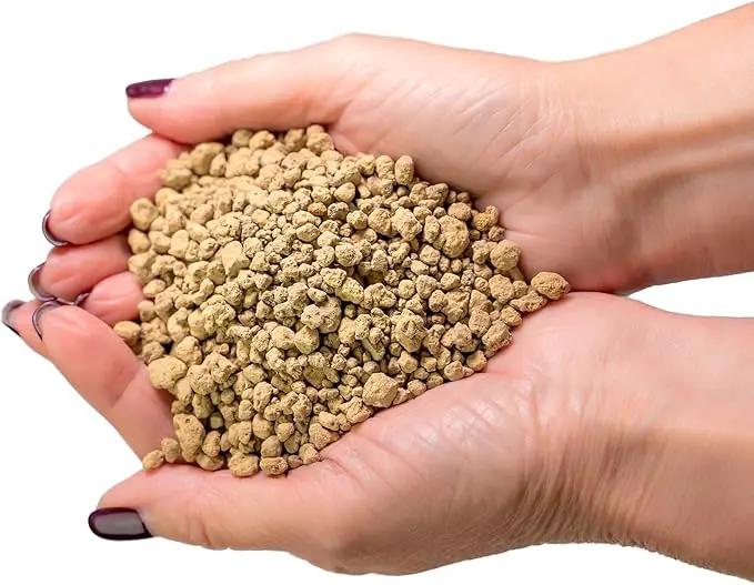 Japanese Hyuga Pumice - Premium Additive for Orchid & Bonsai Tree Soil |Professional Imported Sifted and Ready to Use (5 Quart Bag) by GreenHaven Gardens