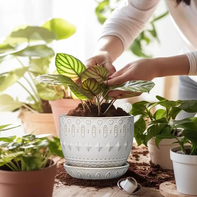G EPGardening Ceramic Plant Pot - Succulent Pots with Drainage Hole and Saucer 5 Inch Planter for Indoor Plants Outdoor Decorative Round Flower Pot White by GreenHaven Gardens