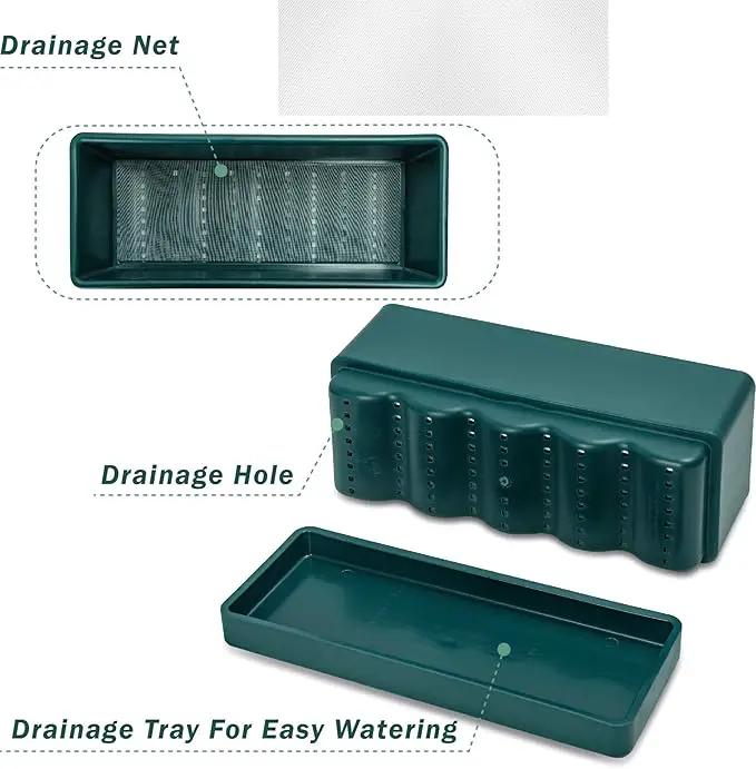 D'vine Dev 12 Inch Window Box Planter, Rectangle Plastic Herb Planter with Drainage Holes and Saucer, Indoor Succulent Cactus Vegetable Pot for Windowsill, Garden Balcony, Green, Set of 2, 76-X-C-2 by GreenHaven Gardens