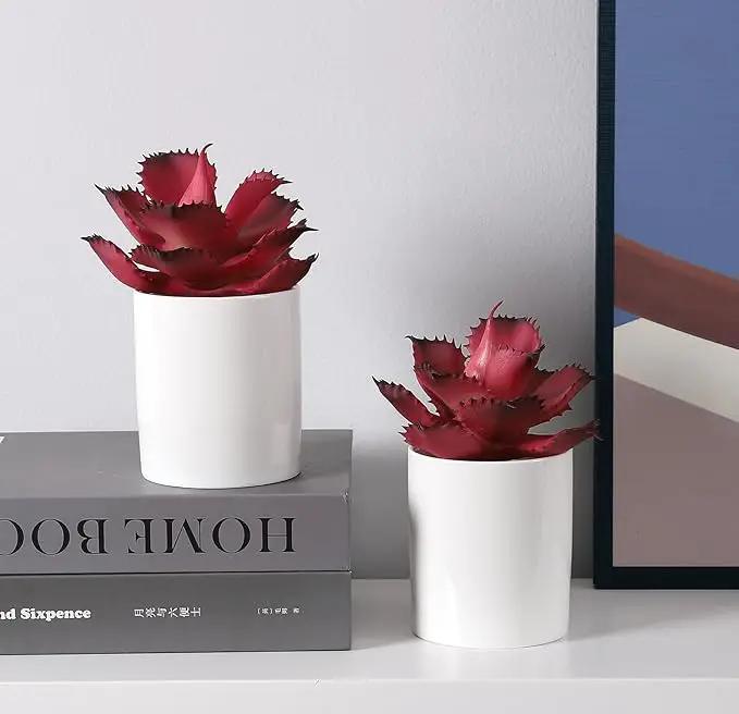 Duovlo Artificial Succulent Plant 5.15 Inch Faux Succulents Agave potatorum Flower Arrangement Craft Wall DIY Materials,Pack of 2 (Rose) by GreenHaven Gardens