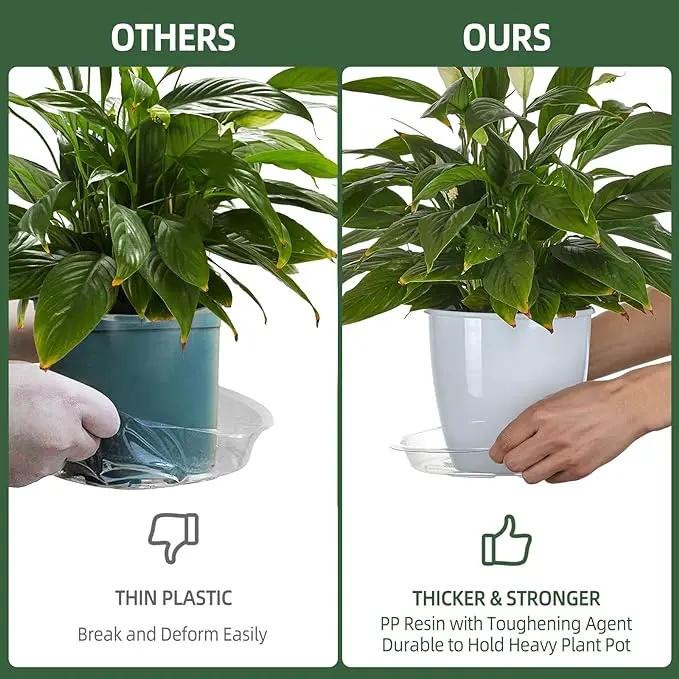 BORPEIN Plant Saucer (6,8,10,12inch, 24 Pack) Clear Plastic Plant Trays for Pots Indoors Outdoors, Thicker Flower Pot Saucers, Plant Plate to Catch Water by GreenHaven Gardens