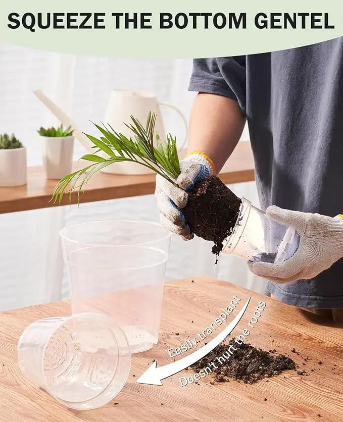 homenote Clear Nursery Pots for Plants,4 Inch Plant Pot for Planting Plastic Seedling with Drainage Holes Seed Starter Flower High Transparency with 20 Labels (30 Pack) by GreenHaven Gardens