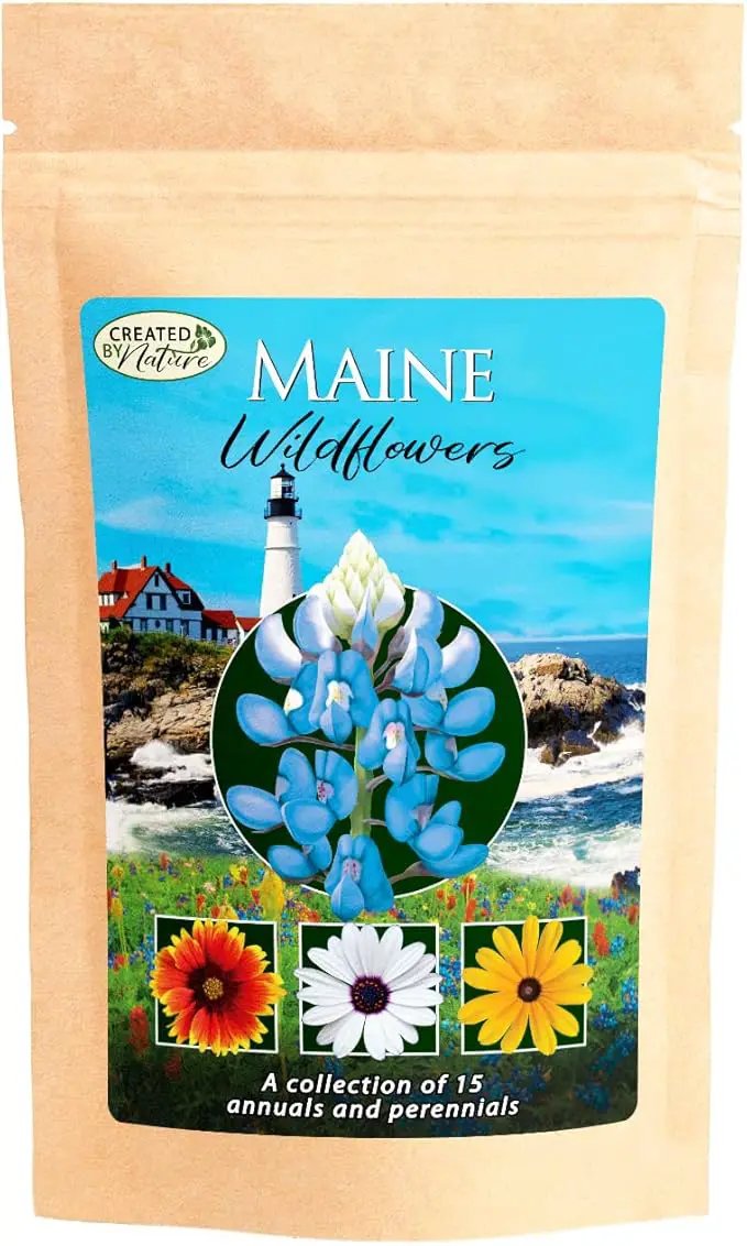 Created By Nature Maine Wildflower State Mix, 15 Flower Varieties, 50,000 Seeds by GreenHaven Gardens