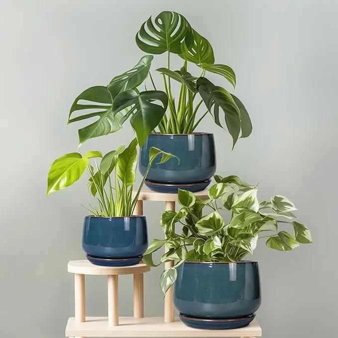 G EPGardening Ceramic Planter 6 Inch - Round Modern Ceramic Pot for Plants with Drainage and Plant Tray Indoor for Flower, Apartment Decor, Housewarming Gifts New Home, Retro Blue by GreenHaven Gardens