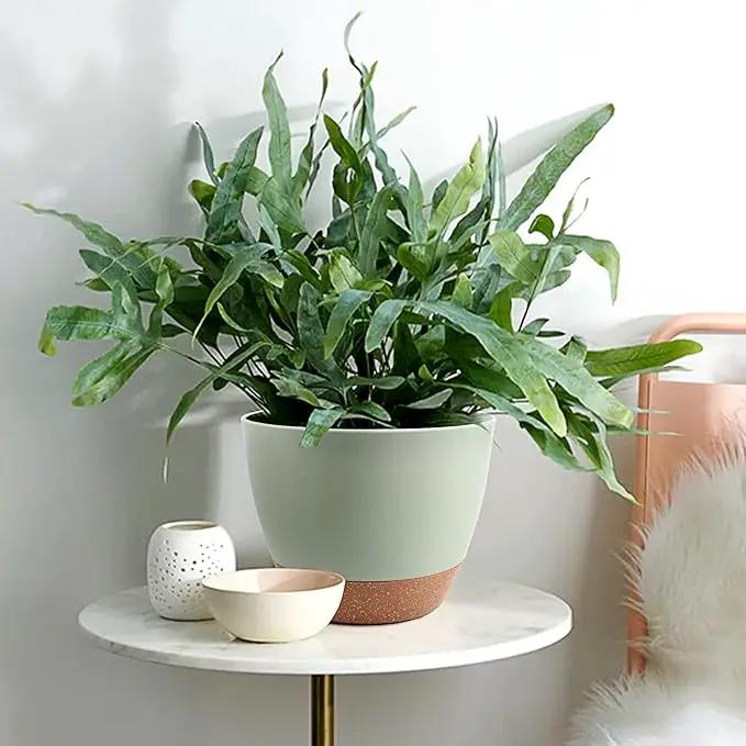 Plant Pots 12/10/9 inch Set of 3, Self Watering Flower Pots Indoor Outdoor, Planters with Drainage Hole Saucer Reservoir, Green by GreenHaven Gardens