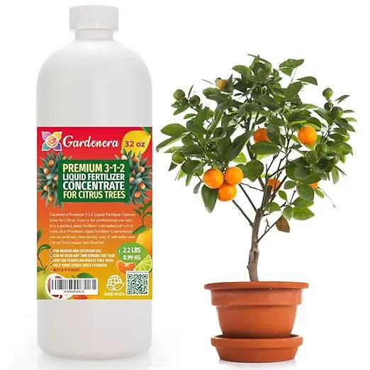 Premium Liquid Citrus Tree Plant Fertilizer - 3-1-2 Concentrate for Indoor Plants and Flowers by Gardenera | Organic Plant Food for Citrus Trees - 32oz by GreenHaven Gardens