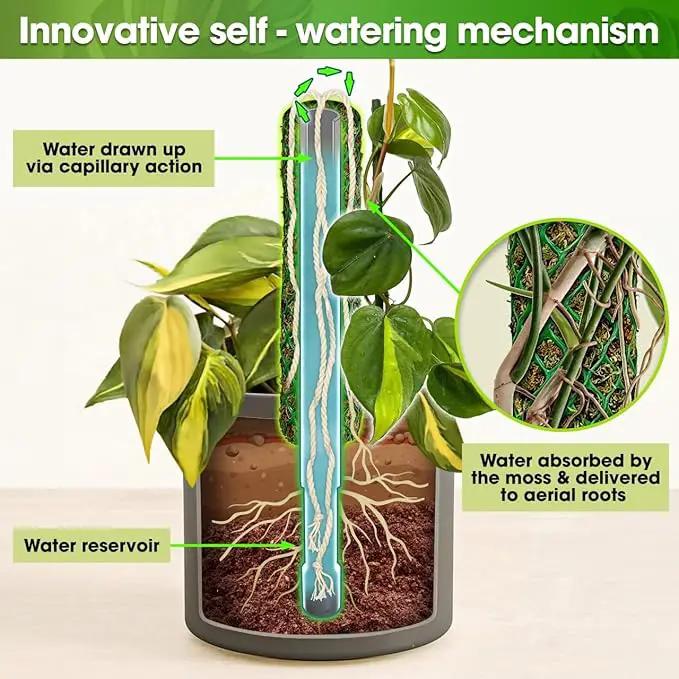 DUSPRO Self-Watering Natural Green Forest Moss Pole, Easy to Use Moss Sticks for Indoor Plants, Climbing Plant Support Stake with Self-Watering Feature, Moss Pole Monstera Plant Support 2pcs 23'' by GreenHaven Gardens