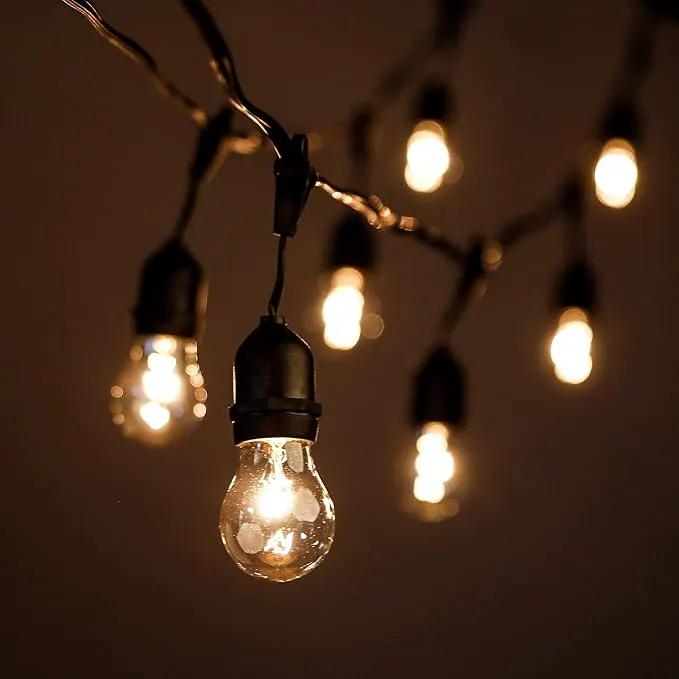 Hometown Evolution, Inc. 100 Foot E26 Outdoor Commercial String Lights with Suspended Socket for Weatherproof Heavy Duty Vintage Outside Lighting - Set of 50 A15 Clear Bulbs by GreenHaven Gardens