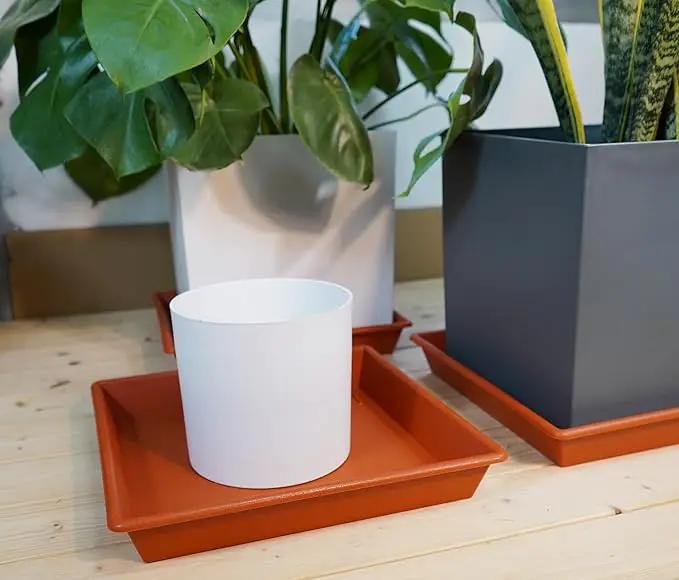 Square Plant Saucer 12 Inch 5 Pack, Plant Stand Plant Trays for Pots Heavy Duty Plastic Plant Saucers for Indoors Outdoors, Flower Pot No Holes Terracotta Plant Lover Gardening Gifts by GreenHaven Gardens