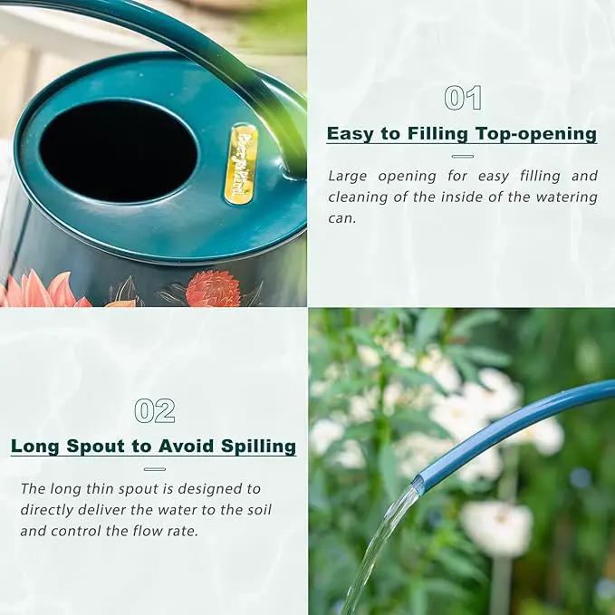 Berry&Bird House Plants Watering Can - Indoor & Outdoor 1/2 Gallon Stainless Steel Water Can with Long Spout Garden Decoration for Flower Bonsai Succulent Gardening Large Watwer Bottle(2L/68oz,Dahlia) by GreenHaven Gardens