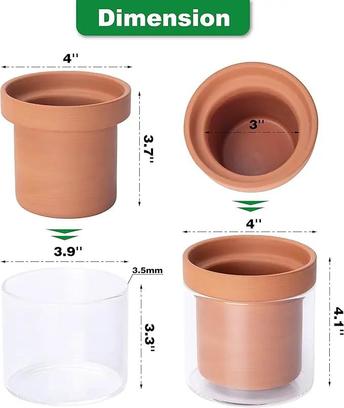 Phoenix Vine 4 Inch Self Watering Planter Pot, Terracotta Clay Pot with Glass Reservoir for Indoor Plants, Herbs, Flowers, Set of 2, 52-A-E-2 by GreenHaven Gardens