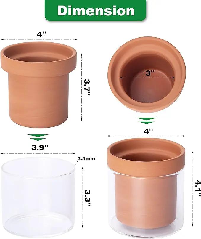 Phoenix Vine 4 Inch Self Watering Planter Pot, Terracotta Clay Pot with Glass Reservoir for Indoor Plants, Herbs, Flowers, Set of 3, 52-A-E-3 by GreenHaven Gardens