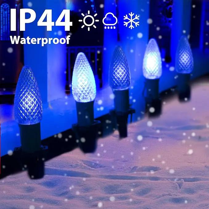 C9 LED Christmas Lights Outdoor with stakes, 25.7ft 20 LED Strawberry String Lights, Connectable Shatterproof Pathway Lights Marker for Path, Lane, Patio, Xmas Holiday Decorations, Blue and White by GreenHaven Gardens