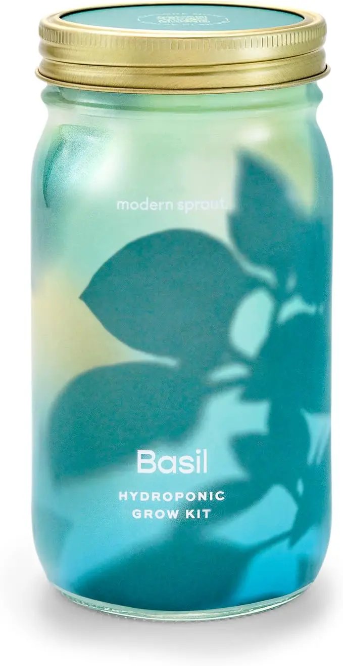 Modern Sprout Mason Garden Jar - Self-Watering Hydroponics Growing System Kit with Organic Herb Seeds - Jar Planter for Indoor Herb Garden - Seed Starter Kit - Home Decor & Gifting - Basil by GreenHaven Gardens