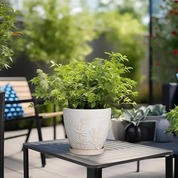 6.9 Inch Ceramic Plant Pot for Indoor Plants Outdoor Round Planter Flower Pot with Drainage Hole and Saucer for Home Garden Office Decor White by GreenHaven Gardens