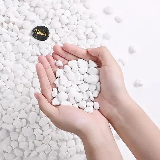 SIDONG 10 LB White River Rocks, 0.3-0.5 Inches Matte Pebbles for Indoor Plants, Aquarium Rocks Used in Fish Tank, Decorative Stones for Plants, Vases, Home Décor, Crafting, Garden Landscaping by GreenHaven Gardens