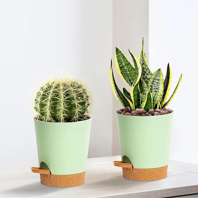 4 inch Small Plant Pots for Outdoor Indoor Plants, 10 Pack Planters with Drainage Holes and Tray, Small Self Watering Pots for Succulent,Cactus, Aloe and Other Plants (Green) by GreenHaven Gardens
