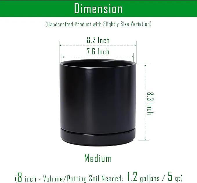 D'vine Dev Set of 2 Plants Pots, 8 Inch Ceramic Planter Pot for Plants with Drainage Hole and Saucer, Black, 94-V-D-2 by GreenHaven Gardens