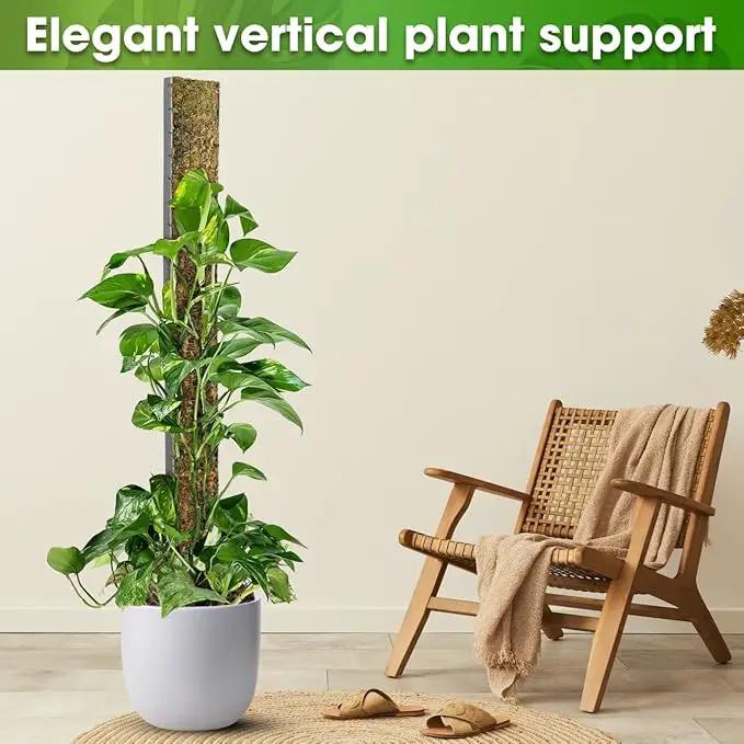 DUSPRO 59’’ D-Shape Moss Pole for Climbing Plants Monstera Moss Plant Pole Handmade Moss Stick for Indoor Plants Grow Upward (59'', 1pc.) by GreenHaven Gardens