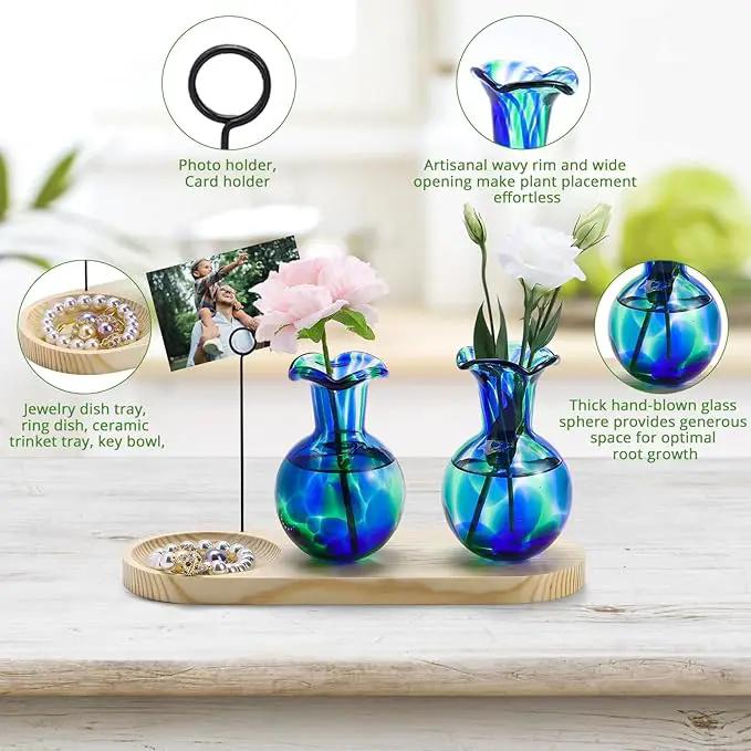 Hand Blown Glass Plant Propagation Stations Plant Terrarium Wooden Stand for Hydroponic Plants Combine Jewelry Tray and Photo Holder Office Home Garden Decor - 2 Bulb Glass Vases by GreenHaven Gardens