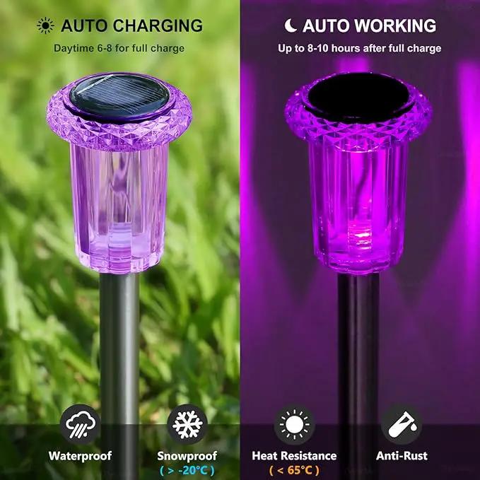 DenicMic Solar Lights Outdoor Pathway Lights LED Waterproof Acrylic Lamp Head Stainless Steel Stake for Yard Garden Landscape Path Walkway Driveway Patio Lawn (Purple 15Pack) by GreenHaven Gardens