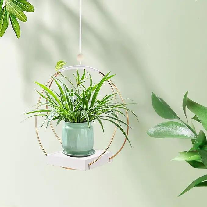 Hanging Planters for Indoor Plants, Plant Hanger with Sturdy Wood Base,Modern Boho Macrame Plant Hanger,Wall Ceiling Window Stands(Plants/Pots Not Included) by GreenHaven Gardens