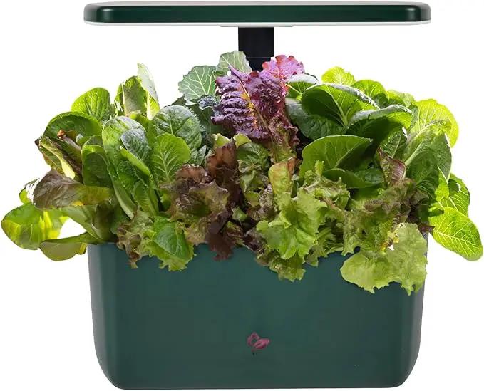 AeroGarden Harvest 2.0, Indoor Garden Hydroponic System with LED Grow Light, Holds up to 6 AeroGarden Pods, Green by GreenHaven Gardens