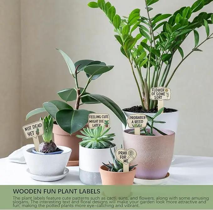 15pcs Funny Plant Signs Garden Markers Wooden Plant Labels Tab with Interesting Words Cute Patterns for Indoor and Outdoor Potted Used to Distinguish Potted Plants by GreenHaven Gardens