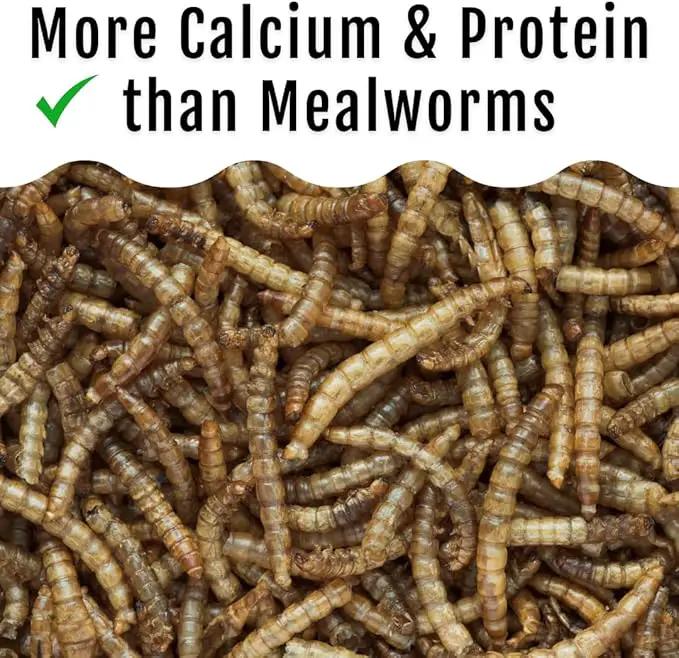 Grub Fuel Black Soldier Fly Larvae for Chickens - Nutrient-Packed BSFL, Sustainably Sourced Snack for Poultry, Rich in Protein, Calcium, Fiber, Essential Fatty Acids, USA Grown (1LB) by GreenHaven Gardens