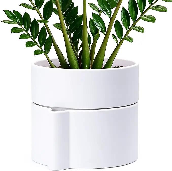 Phoenix Vine 8 Inch Self-Watering Planter Pot with Terracotta Insert, Deep Water Reservoir, and Ceramic-Alike BPA-Free Plastic Planter Pot for Plant, Modern Planter for Houseplants, White, 53-A-T-1 by GreenHaven Gardens