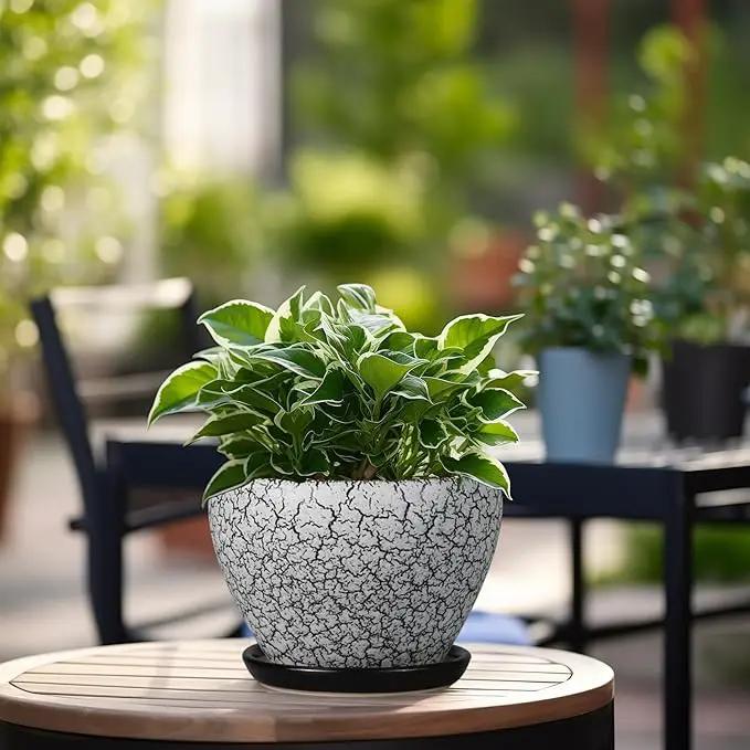 Ceramic Planter Pot - 6 Inch Plant Pot with Drainage Hole and Saucer, Succulent Pot Glaze Round for Indoor Outdoor Plants, White and Black by GreenHaven Gardens