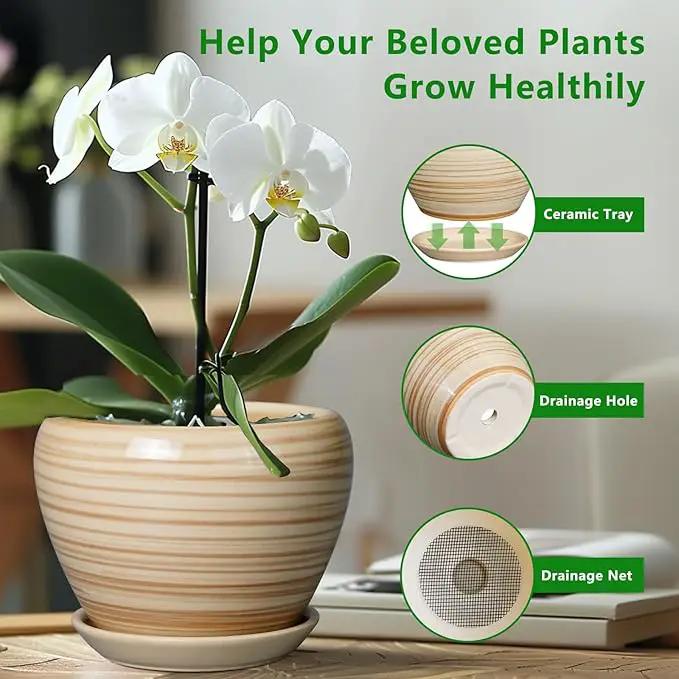 6 Inch Plant Pot Ceramic - Decorative Planter for Indoor Plants Succulent Pot with Drainage Hole and Saucer Round Planter Outdoor Flower Pot for House Patio Yellow by GreenHaven Gardens