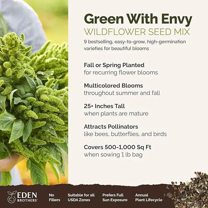 Eden Brothers Green with Envy Flower Mixed Seeds for Planting, 1 lb, 480,000+ Seeds with White Yarrow, Cornflower White | Attracts Pollinators, Plant in Spring or Fall, Zones 3, 4, 5, 6, 7, 8, 9, 10 by GreenHaven Gardens
