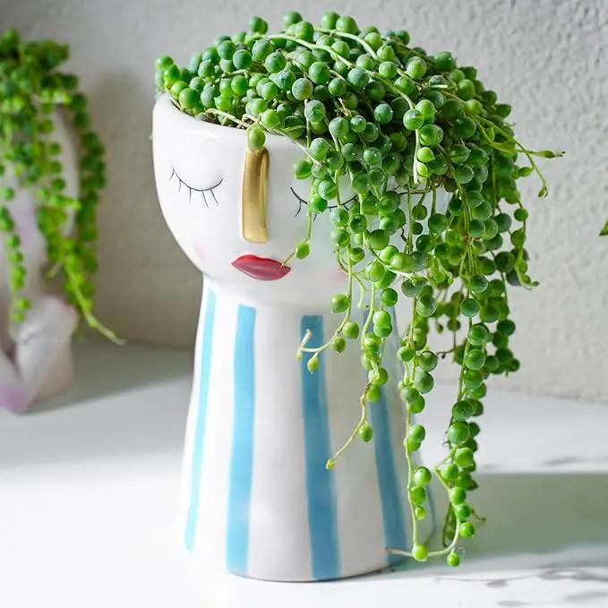 String of Pearls (4-inch), Succulents Plants Live, Succulent Plants Fully Rooted in Pots with Soil, Easy-Care House Plant for DIY, Home Office Decor, Wedding Party Favor by GreenHaven Gardens