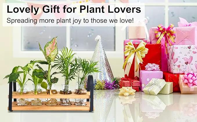 Plant Propagation Stations with Wood Stand, Desktop Plant Terrarium for Propagating Hydroponic, Flower Vase for Home Kitchen Office Decor, Plant Lover Gifts by GreenHaven Gardens