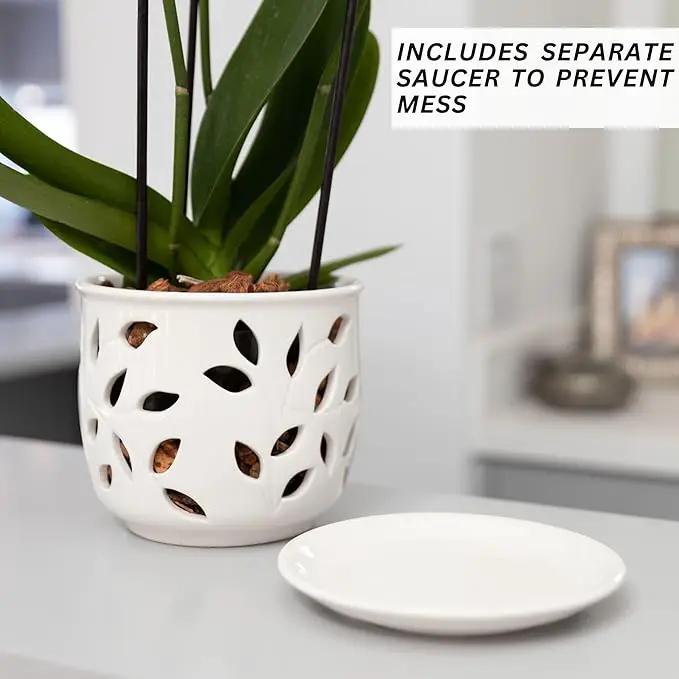 Orchid Pot with Holes & Saucer Ceramic 6.5 in. Indoor or Outdoor Large Pot for Orchid Care & Root Health with Precise Aeration & Drainage – Durable for Repotting or New Plants by GreenHaven Gardens