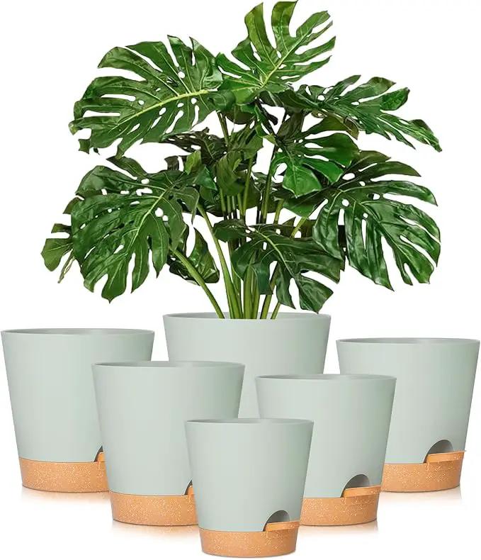 GARDIFE Plant Pots 8/7/6.5/6/5.5/5 Inch Self Watering Planters with Drainage Hole, Plastic Flower Pots, Nursery Planting Pot for All House Plants, African Violet, Flowers, and Cactus,Green by GreenHaven Gardens