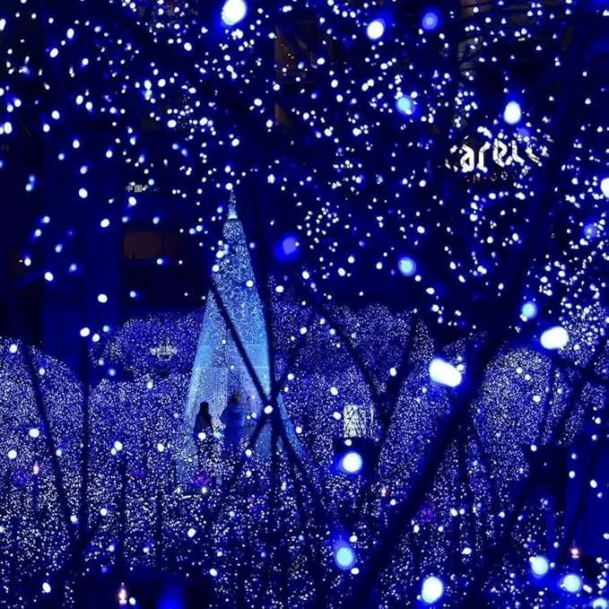 Toodour Solar Christmas Lights, 2 Packs Total 144ft 400 LED 8 Modes Solar String Lights, Waterproof Solar Outdoor Christmas Lights for Garden, Patio, Fence, Balcony, Christmas Tree Decor - Blue by GreenHaven Gardens