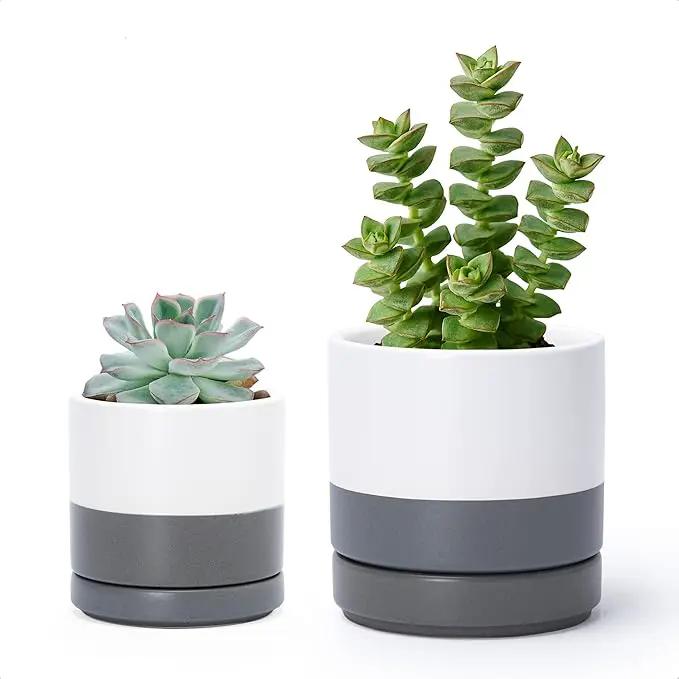 D'vine Dev 3.5 Inch & 4.7 Inch Ceramic Planter Pots for Plants with Drainage Hole and Saucer, X-Small Plant Pots Set, White/Speckled Grey, 94-G-XS-6 by GreenHaven Gardens