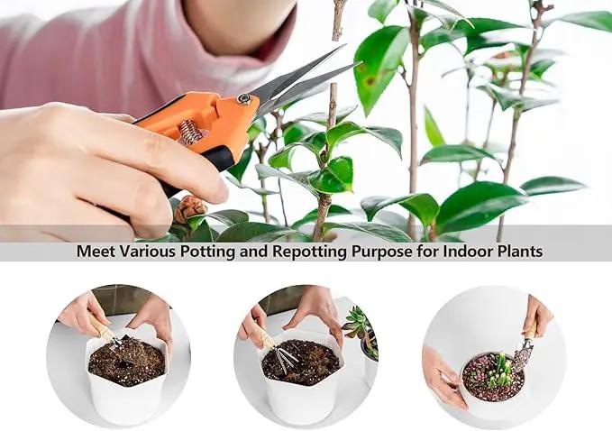 Plant Repotting Mat, 5Pcs Succulent Tools Mini Garden Small Gardening Tools Indoor, Pruning Shear Gardening Scissor, Hand kit for Bonsai, Cactus, Fairy, Houseplant Transplanting, Seedling by GreenHaven Gardens