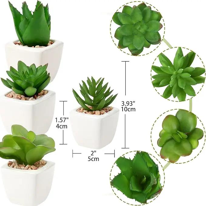 Hollyone Succulents Plants Artificial 4Pcs Small Fake Succulents in Pots Faux Plastic Potted Plants with White Ceramic Pot for Home Decor Office Desk Bathroom Shelf Indoor & Outdoor Decoration by GreenHaven Gardens