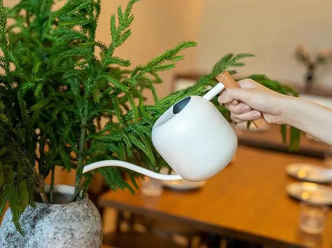 Green Moon Water Can Indoor Plant White 1.2L/41oz with Long Spout Small Water Can Metal Watering Can Pot for Indoor House Plant Bonsai Outdoor Garden Flowers Decorative by GreenHaven Gardens