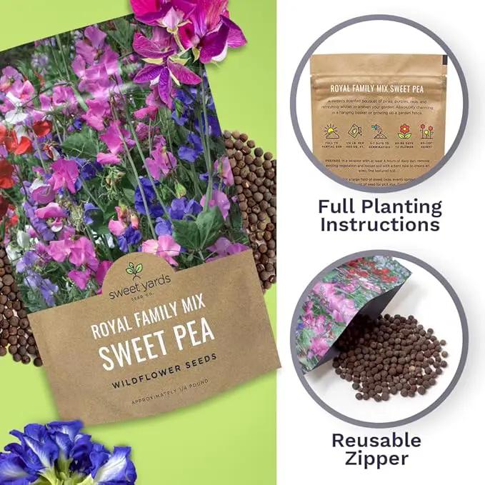 Sweet Pea Seeds Royal Mix - Bulk 1/4 Pound Bag - Over 1,400 Seeds - Large Fragrant Lavender, Purple, Red, Pink and White Blooms by GreenHaven Gardens