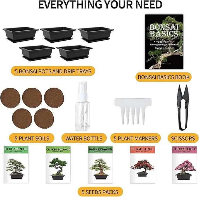 Bonsai Tree Kit with Complete Plant Growing Tools, Grow in Pot Indoor Bonsai Tree Starter Kit, Home Gardening DIY Gift for Adult by GreenHaven Gardens