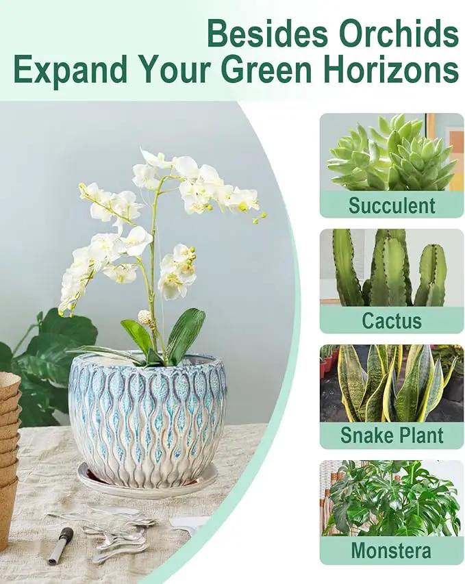 vensovo 7.5 Inch Ceramic Plant Pot with Drainage Holes and Saucer - Large Round Orchid Pot for Indoor Repotting, Ceramic Planter Maintain Air Circulation, Blue by GreenHaven Gardens
