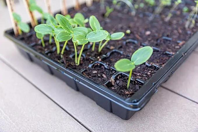 Gardzen Seed Starter Tray, 5 Pack Smiling Face Plant Germination Trays with Total 350-Cell, Seed Starter Kit with Humidity Vented Domes and Bases for Starting Vegetable Flower Herb Seeds 18" x 14" by GreenHaven Gardens