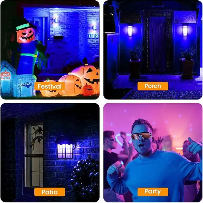 Hompavo 【Upgraded LED Flame Light Bulbs, 3 Modes Flickering Light Bulbs, E12 Chandelier Base Candle Fire Light Bulb for Halloween Christmas Party Porch Indoor & Outdoor Home Decoration, Blue 6 Pack by GreenHaven Gardens