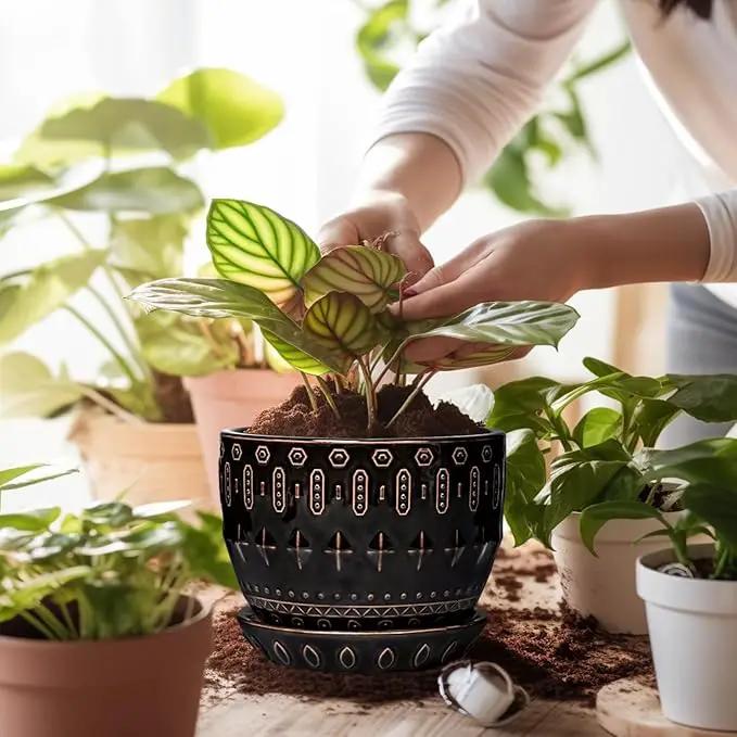 G EPGardening Ceramic Pot for Plants 5.5 Inch - Ceramic Plant Pot Indoor with Drainage Hole and Saucer, Round Boho Planter for Indoor Plants Outdoor, Housewarming Gifts, Garden Office Decor, Black by GreenHaven Gardens