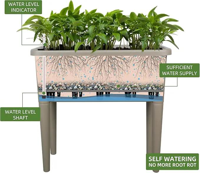 Dexceder 13.2 Gallon Self Watering Raised Garden Bed with Ventilation Transparent Lid Greenhouse, Deepen Vegetable Flower Box Planter Pot with Removeble Legs&Water Level Indicator (Light Brown) by GreenHaven Gardens